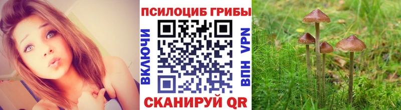 Псилоцибиновые грибы мухоморы  Купить  Кострома 