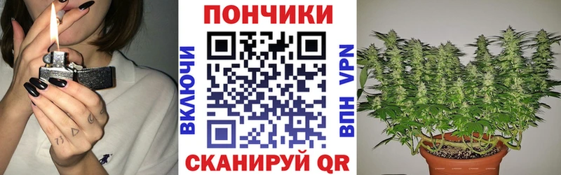 Каннабис сатива Кострома